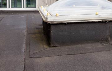 disadvantages of Lowthorpe flat roofs