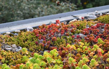 the cost of Lowthorpe green roof installation
