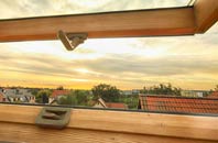 rated Lowthorpe roof window companies